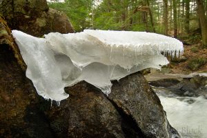 23  AQ075-Bicknell-Brook-.jpg